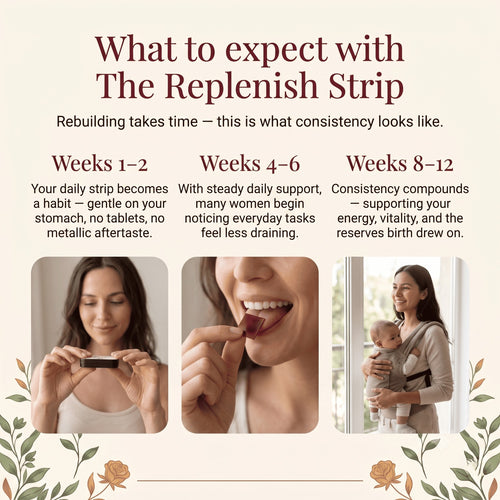 The Replenish Strip - Iron & Vitality